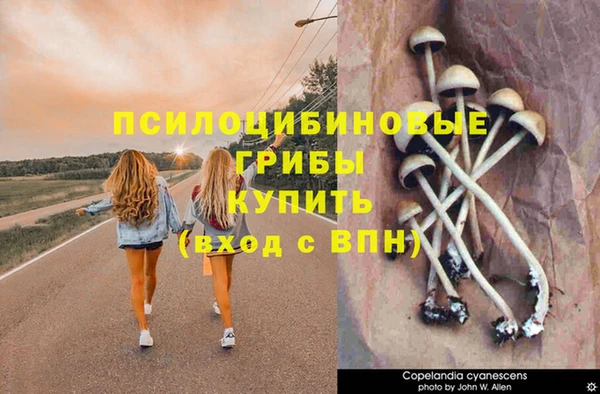 первитин Абдулино